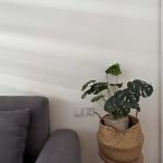 Serviced Apartment - Studio