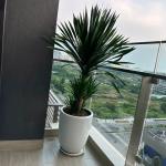 The River Thu Thiem - 2 Bedrooms